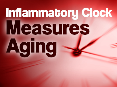 Inflammatory Clock Measures Aging